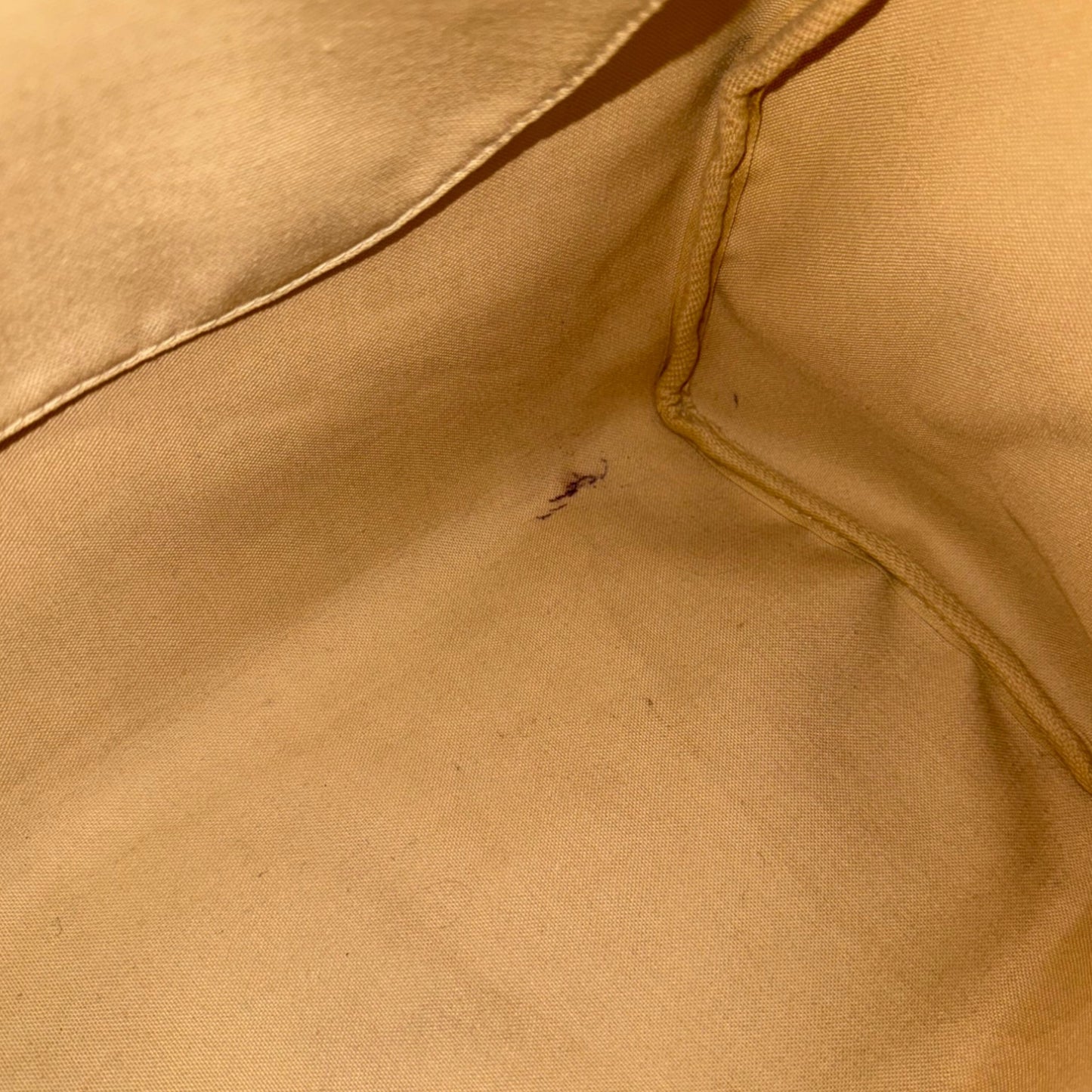 Canvas & Leather Canvas Speedy Bag