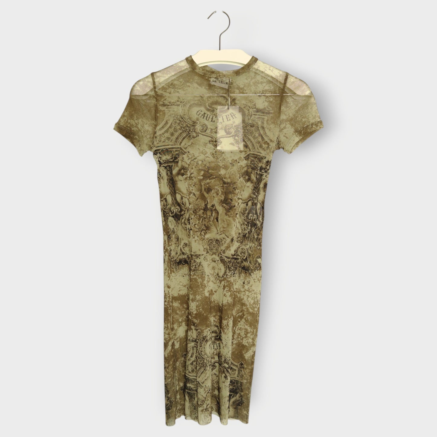 Mesh Printed Mini Dress