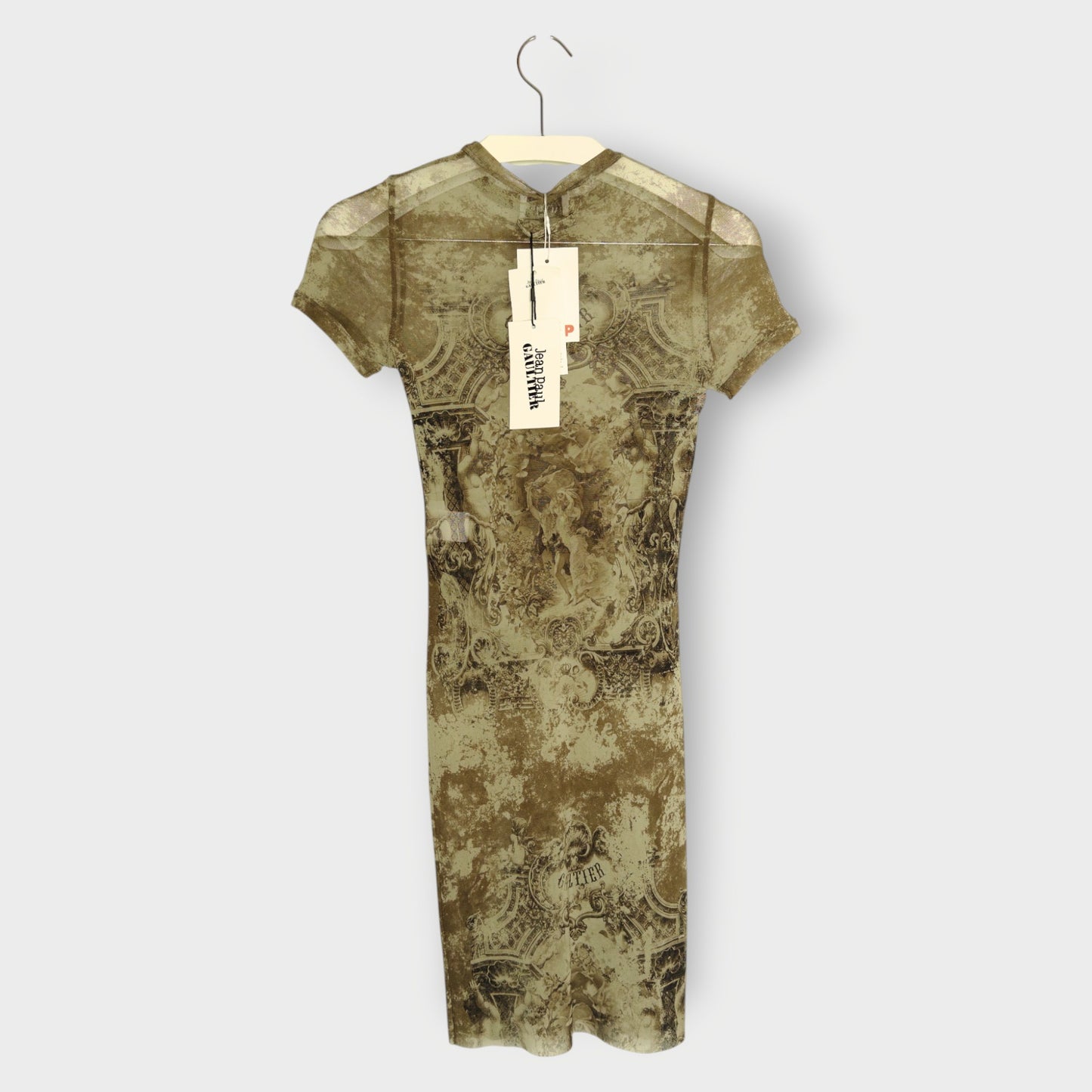 Mesh Printed Mini Dress