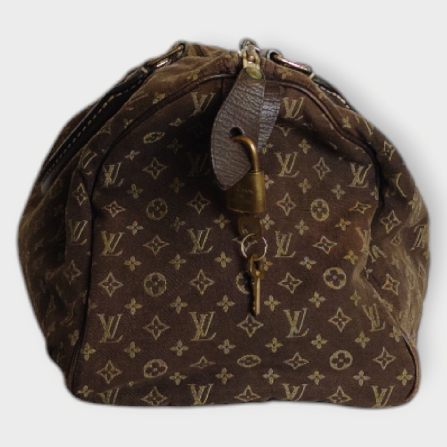 Monogram Speedy Cloth Handbag