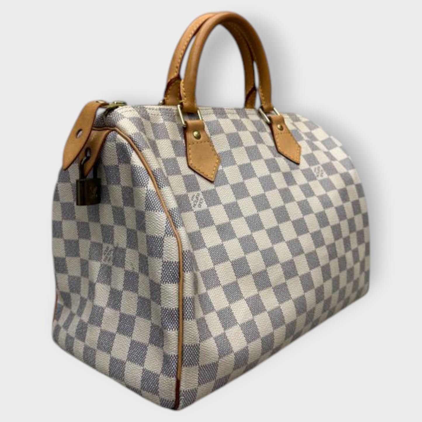 Canvas & Leather Canvas Speedy Bag