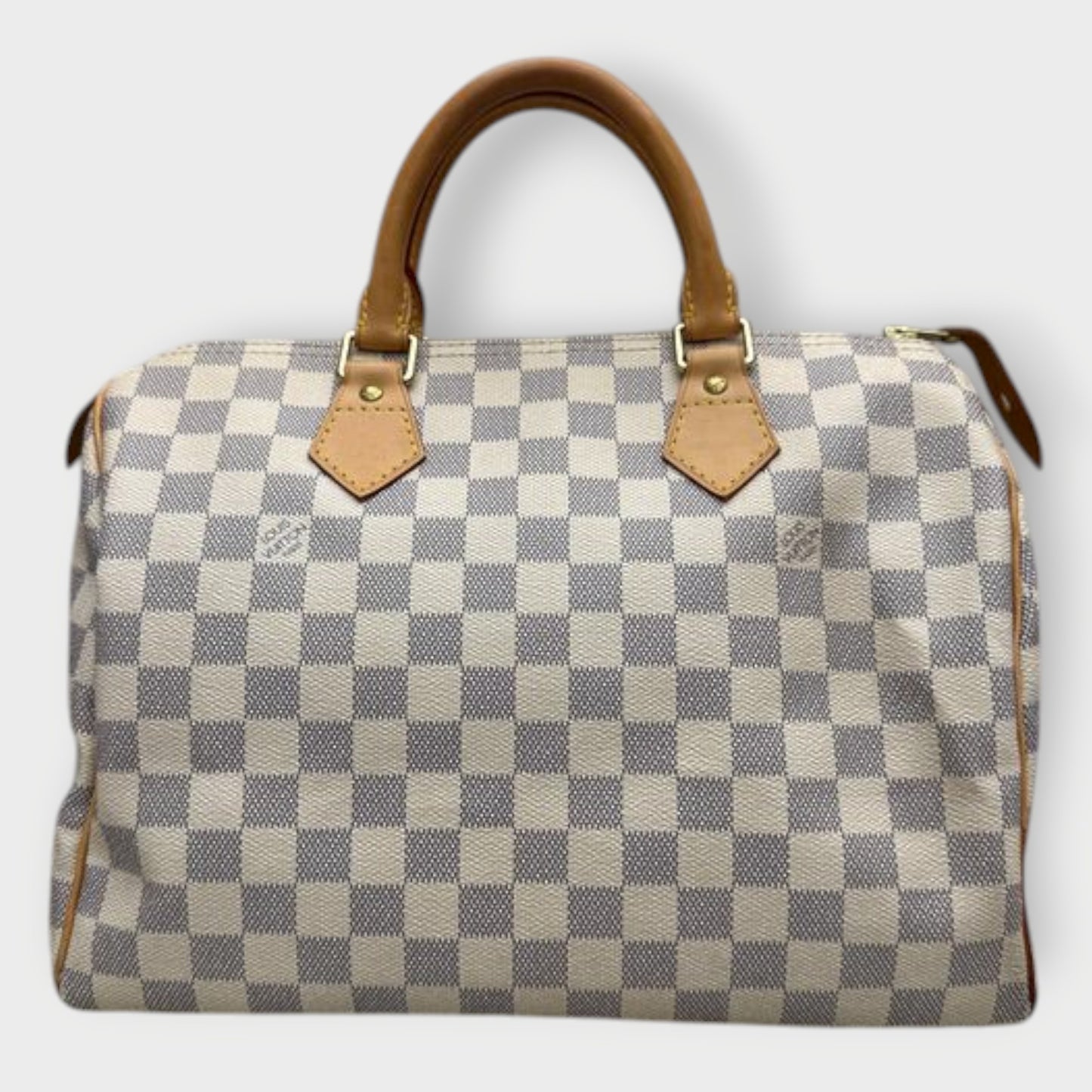 Canvas & Leather Canvas Speedy Bag
