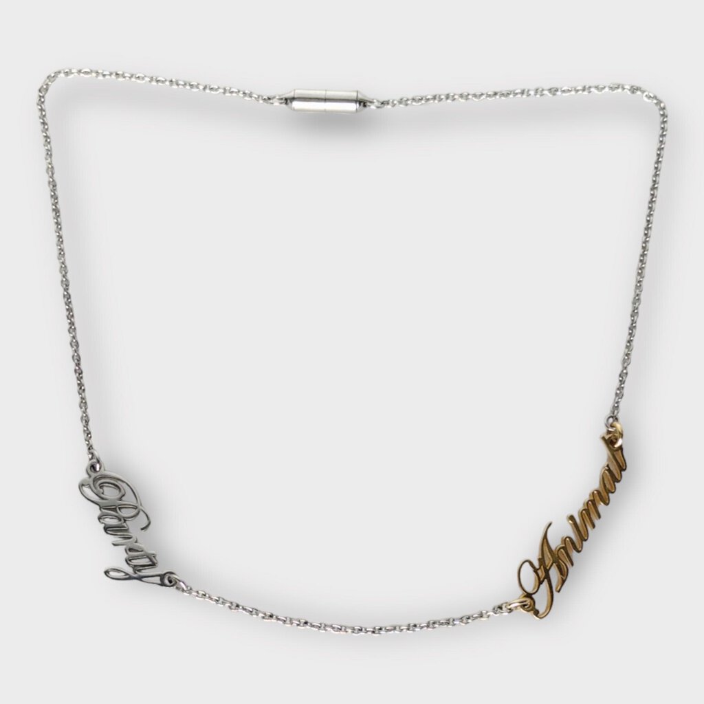 Alexander Wang Silver & Gold Tone Party Animal Chain Necklace
