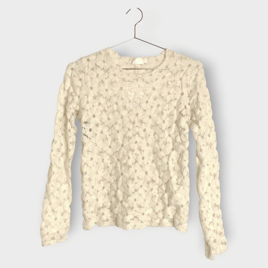 Embroidered Mesh Floral Top