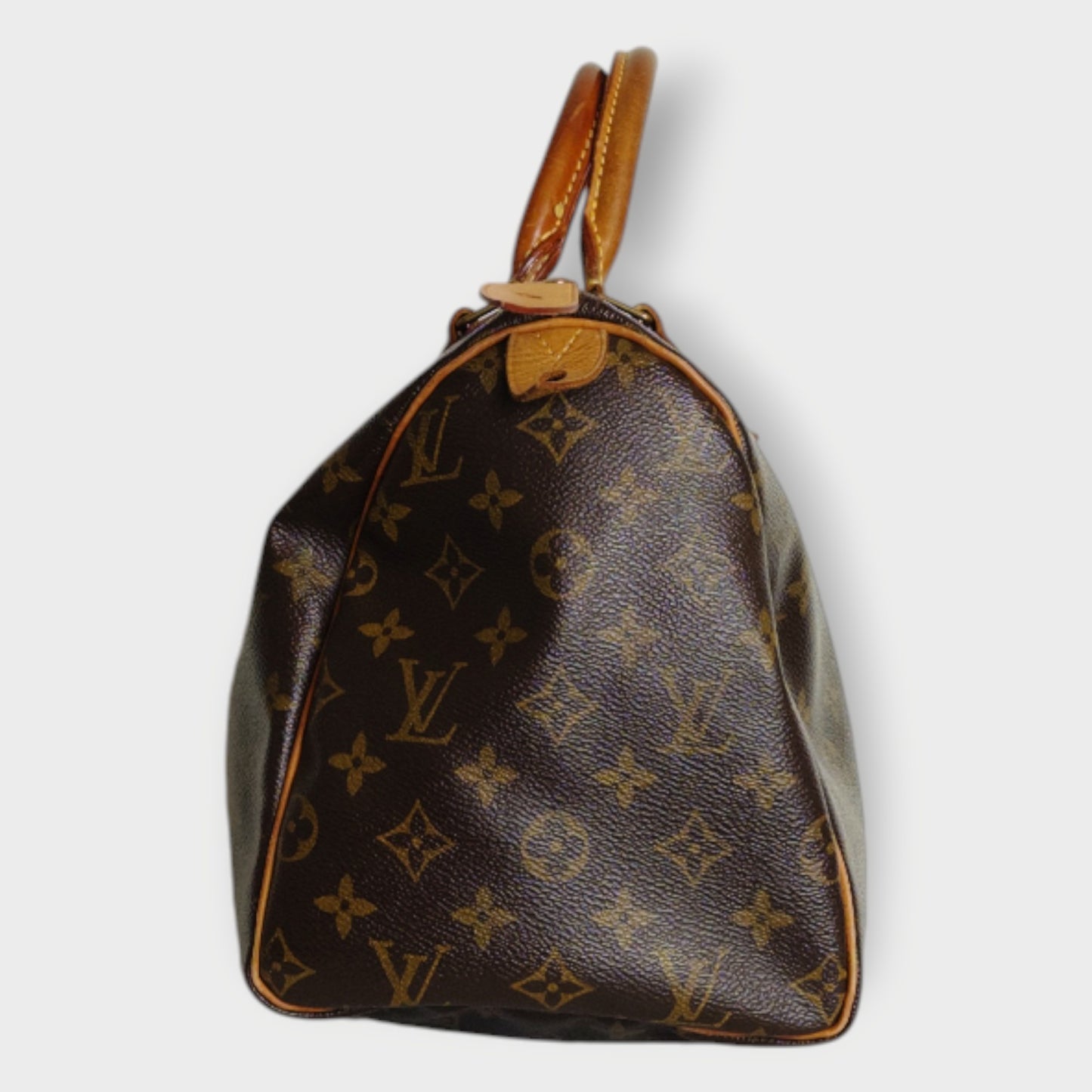Monogram Speedy Bag
